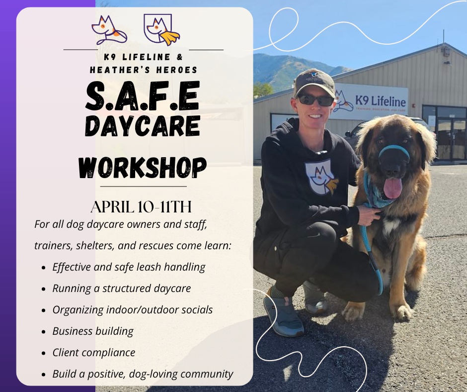 S.A.F.E. Daycare Workshop April 2025