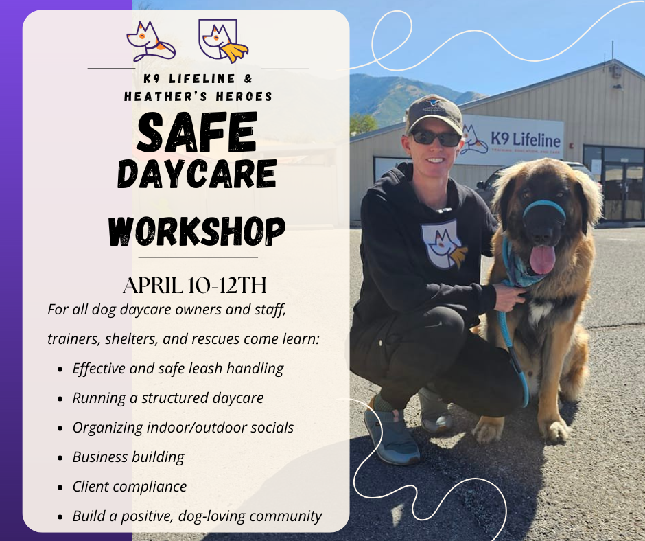 SAFE Daycare Workshop April 2025