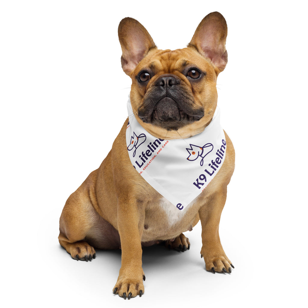 French Bulldog wearing K9 Lifeline logo bandana