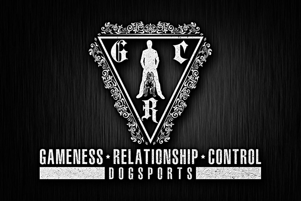 Play as the Way – GRC Dogsports Advanced Skill Workshop with Jay Jack