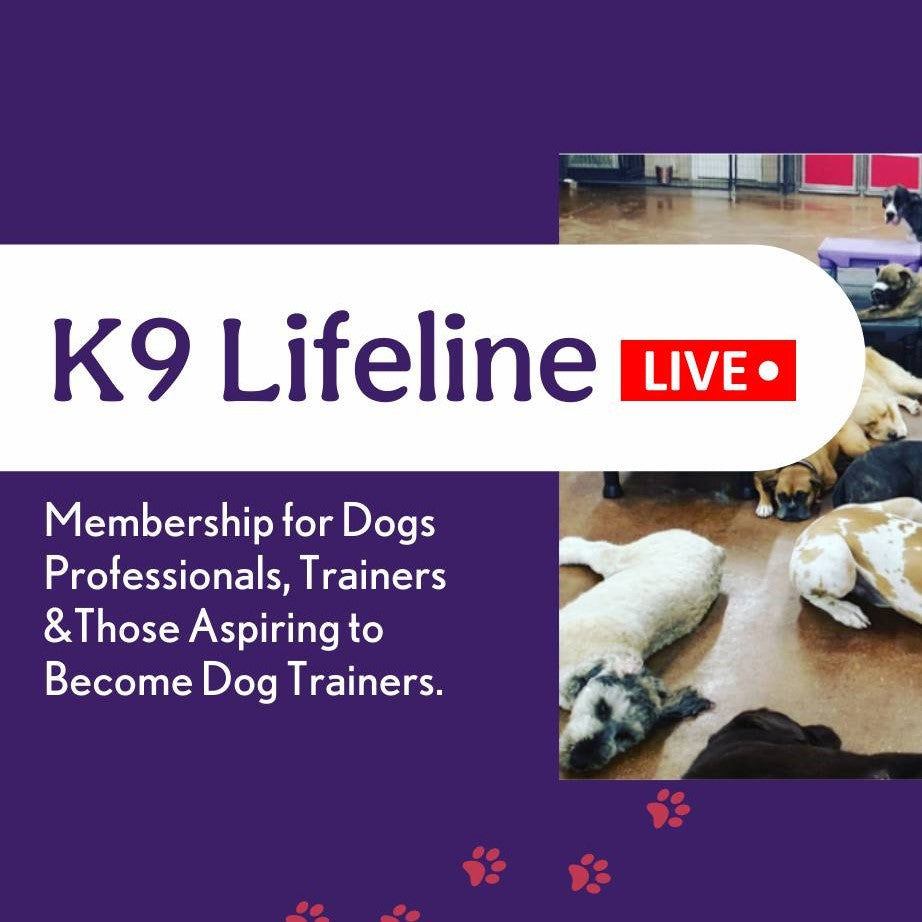 Heather's Heroes Live – K9Lifeline